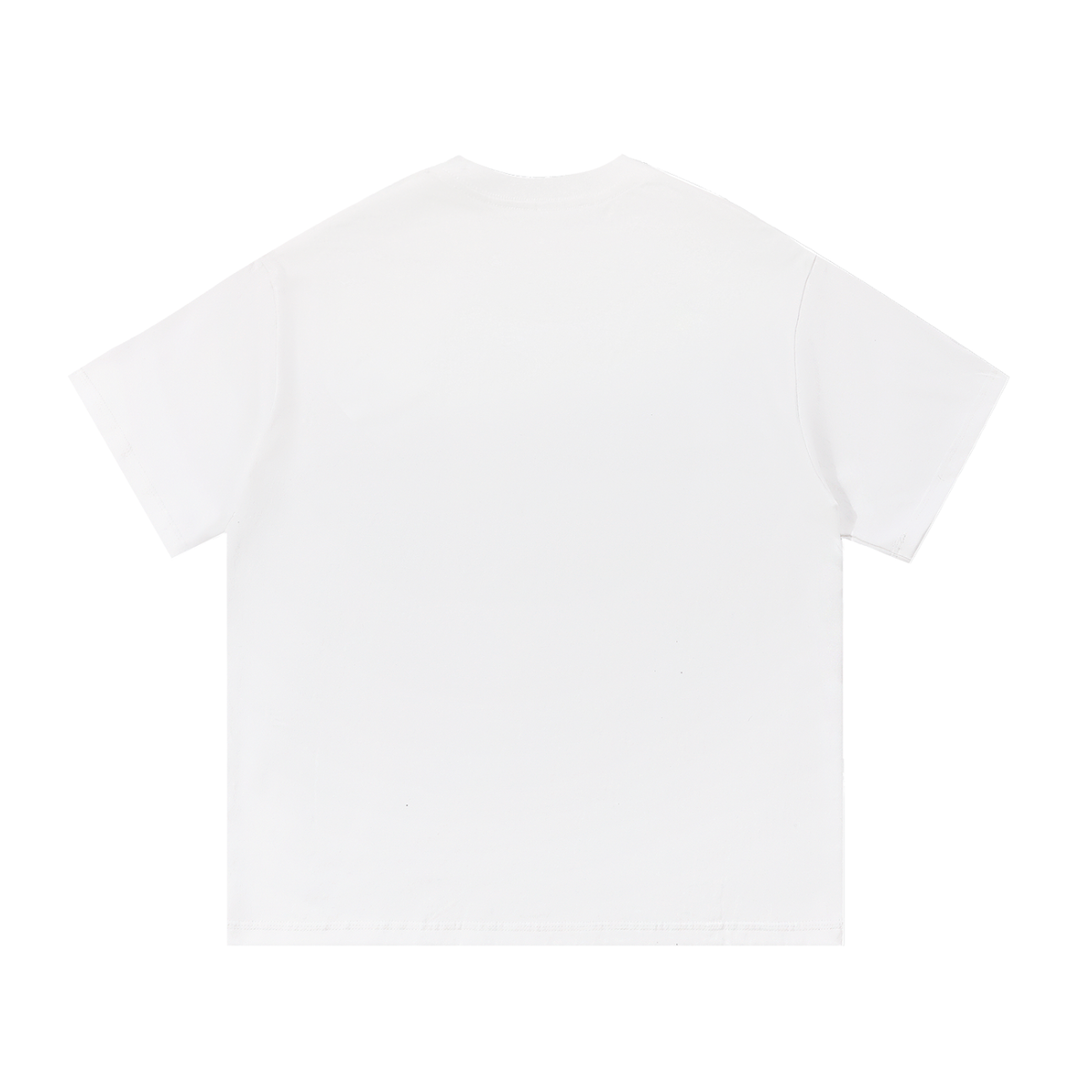 RLS Cotton T-Shirt